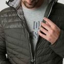 loap-116297_4